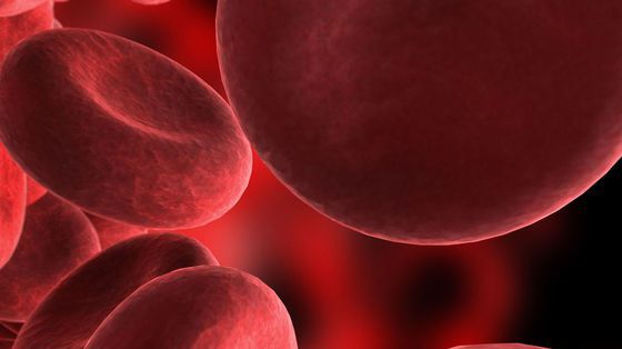 Terapia genowa z sukcesem przetestowana na chorych na hemofilię