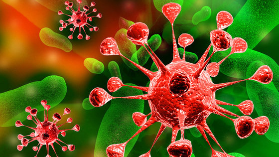 Badania nad śmiertelnym wirusem grypy pozostają tajemnicą, jak mówi WHO