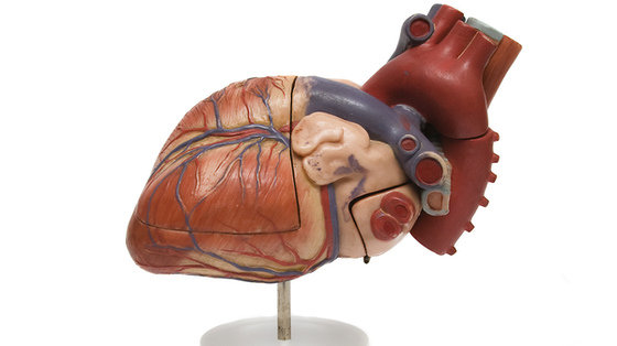 Ryzyko udaru mózgu: co arytmia serca może dla ciebie oznaczać?